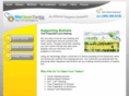 cleanfuelamerica.com