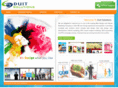 duitsolutions.com
