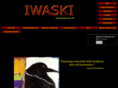 iwaskicontemporaryart.com