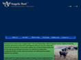 angelicbeef.com