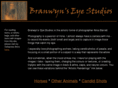 branwynseye.com