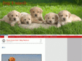 dogisland.tk