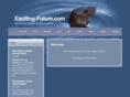 exciting-future.com