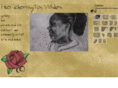 lisacharringtonwilden.com