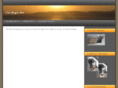themagicmat.com