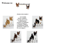 totalbasenji-osh.com