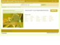 discounttravelpacks.com