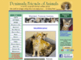 safehavenpfoa.org