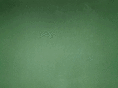schoolofphonak.com
