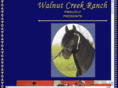 walnutcreekandalusians.com
