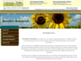 barefacebotanicals.com