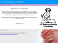 braillegroup.com