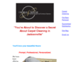 carpetcleaningjax.com