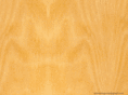 artesanogroup.com