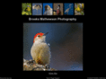 avianartimages.com