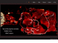 hagit-art.com