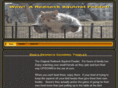 rednecksquirrelfeeder.com