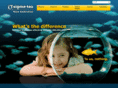 st-research.com