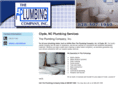 theplumbingcompanyonline.com