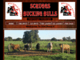 3sbuckingbulls.com