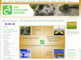 coachingsquare.be