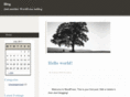 cyblitz.com