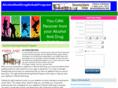 alcoholanddrugrehabprogram.com
