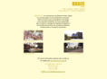 bracecorp.com