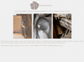 orchidinteriors.co.uk