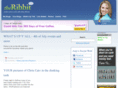 theribbit.com