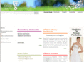 tuguiaeventos.com