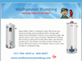 waterheaterindianapolis.com