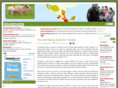 mexicoswineflu.net
