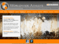 worldwideathlete.com