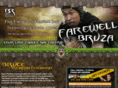 brucereihana.com