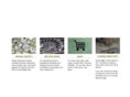 mosaicworkshop.com