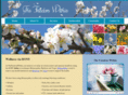 thefreedomwithin.com