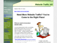 websitetraffic101.net