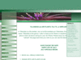 airplants-online.com