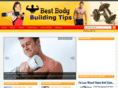 bestbodybuildingtips.net