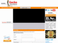 geckoindia.com