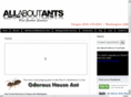 allaboutantspestcontrol.com