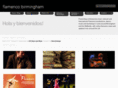 flamenco-birmingham.com