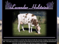 lavenderholsteins.net