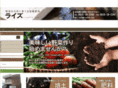 rize110.com