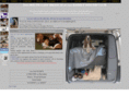 southeastbasset.org.uk
