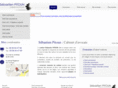 cabinetpitoun.com