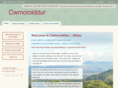 cwmcroiddur.com