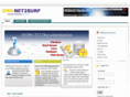 dnsnet2surf.com