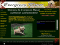evergreendoodles.com